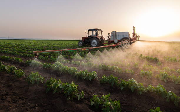 Best Pest Prevention Services  in Pocola, OK