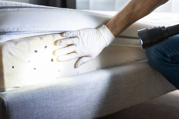Best Pest Control for Businesses  in Pocola, OK