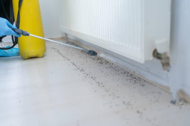 Best Residential Pest Control  in Pocola, OK