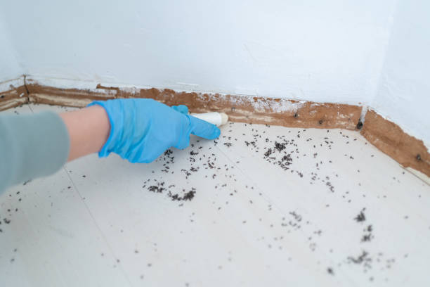 Pest Prevention Services in Pocola, OK