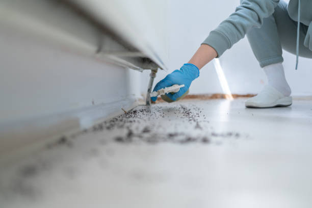  Pocola, OK Pest Control Pros