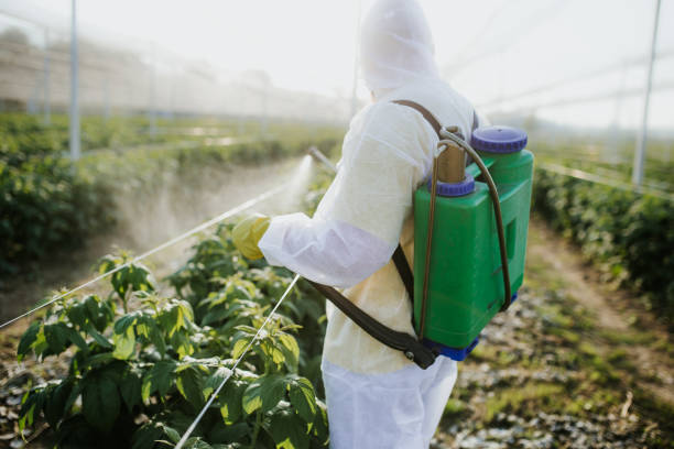 Best Wildlife Control Services  in Pocola, OK